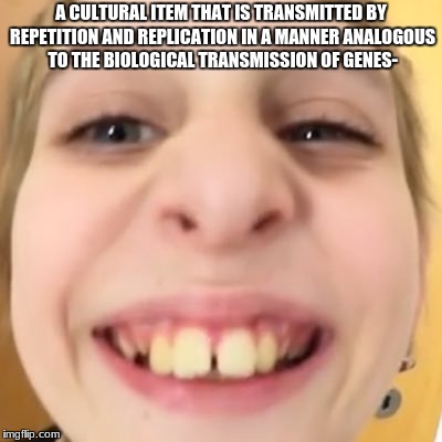 A CULTURAL ITEM THAT IS TRANSMITTED BY REPETITION AND REPLICATION IN A MANNER ANALOGOUS TO THE BIOLOGICAL TRANSMISSION OF GENES- | made w/ Imgflip meme maker