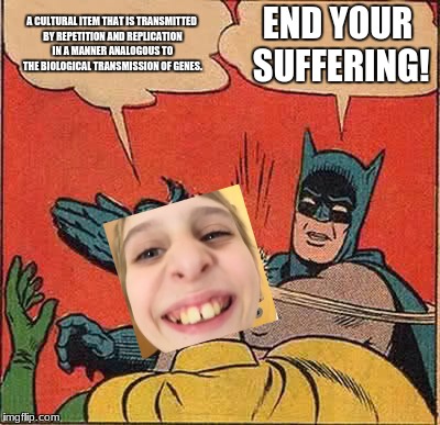 Batman Slapping Robin Meme | A CULTURAL ITEM THAT IS TRANSMITTED BY REPETITION AND REPLICATION IN A MANNER ANALOGOUS TO THE BIOLOGICAL TRANSMISSION OF GENES. END YOUR SU | image tagged in memes,batman slapping robin | made w/ Imgflip meme maker