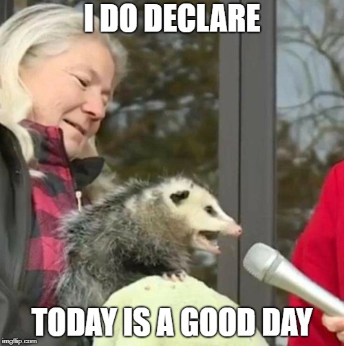 Speech Possum | I DO DECLARE; TODAY IS A GOOD DAY | image tagged in speach possum,public speaking,ice cube today was a good day,beastiality | made w/ Imgflip meme maker