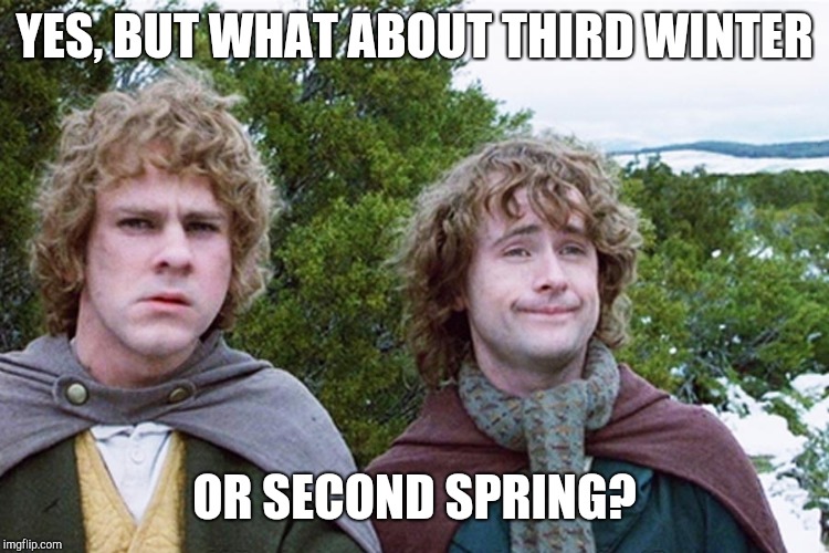hobbits | YES, BUT WHAT ABOUT THIRD WINTER; OR SECOND SPRING? | image tagged in hobbits | made w/ Imgflip meme maker