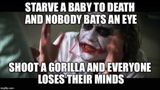 This is why the world is doomed. | STARVE A BABY TO DEATH AND NOBODY BATS AN EYE; SHOOT A GORILLA AND EVERYONE LOSES THEIR MINDS | image tagged in memes,and everybody loses their minds,alfie evans,harambe,evil,socialism | made w/ Imgflip meme maker