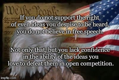 American Eagle | If you do not support the right of even ideas you despise to be heard, you do not believe in free speech. Not only that, but you lack confidence in the ability of the ideas you love to defeat them in open competition. | image tagged in american eagle | made w/ Imgflip meme maker