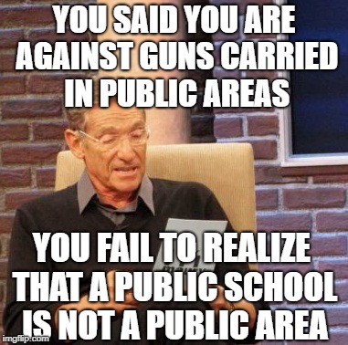 Maury BS Detector | YOU SAID YOU ARE AGAINST GUNS CARRIED IN PUBLIC AREAS; YOU FAIL TO REALIZE THAT A PUBLIC SCHOOL IS NOT A PUBLIC AREA | image tagged in memes,maury,funny,guns,schools | made w/ Imgflip meme maker