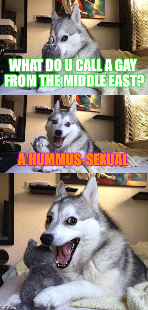 29 afgayistan rd. | WHAT DO U CALL A GAY FROM THE MIDDLE EAST? A HUMMUS-SEXUAL | image tagged in memes,bad pun dog,yung mung,datlinx,datlinx,nein gang | made w/ Imgflip meme maker