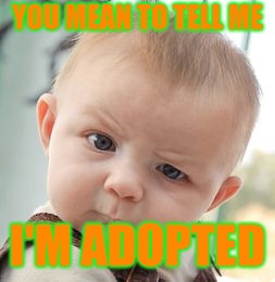 Skeptical Baby | YOU MEAN TO TELL ME; I'M ADOPTED | image tagged in memes,skeptical baby | made w/ Imgflip meme maker