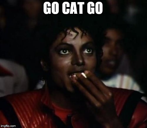 GO CAT GO | made w/ Imgflip meme maker