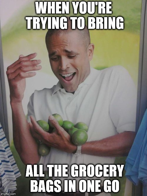 Why Can't I Hold All These | WHEN YOU'RE TRYING TO BRING; ALL THE GROCERY BAGS IN ONE GO | image tagged in why can't i hold all these | made w/ Imgflip meme maker