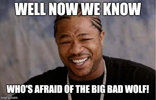 Yo Dawg Heard You Meme | WELL NOW WE KNOW; WHO'S AFRAID OF THE BIG BAD WOLF! | image tagged in memes,yo dawg heard you | made w/ Imgflip meme maker