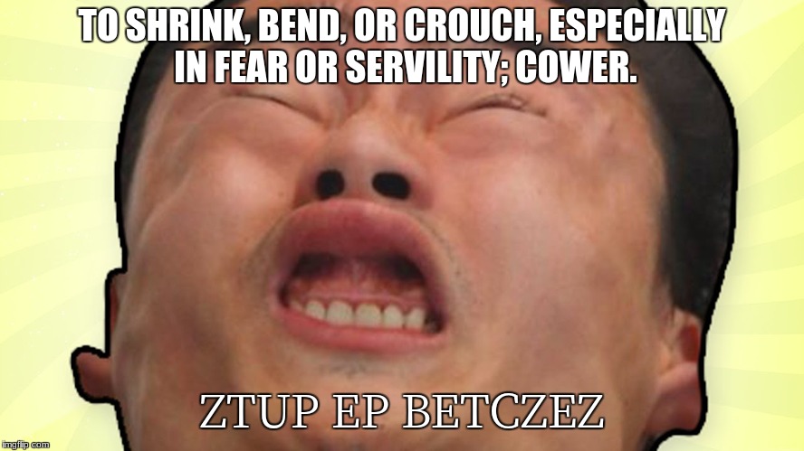 TO SHRINK, BEND, OR CROUCH, ESPECIALLY IN FEAR OR SERVILITY; COWER. ZTUP EP BETCZEZ | made w/ Imgflip meme maker