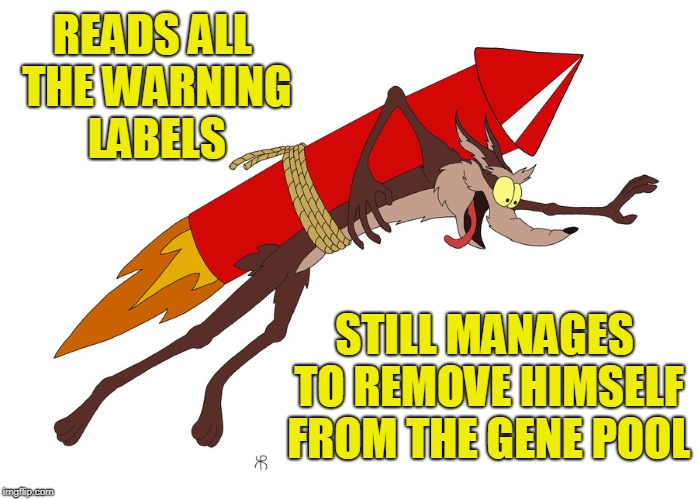 Read the Warning Labels | READS ALL THE WARNING LABELS; STILL MANAGES TO REMOVE HIMSELF FROM THE GENE POOL | image tagged in funny,comics/cartoons,roadrunner,wile e coyote | made w/ Imgflip meme maker