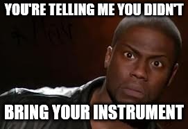 Kevin Hart Meme | YOU'RE TELLING ME YOU DIDN'T; BRING YOUR INSTRUMENT | image tagged in memes,kevin hart the hell | made w/ Imgflip meme maker