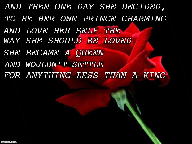 rose | TO BE HER OWN PRINCE CHARMING; AND THEN ONE DAY SHE DECIDED, AND LOVE HER SELF THE WAY SHE SHOULD BE LOVED; SHE BECAME A QUEEN; FOR ANYTHING LESS THAN A KING; AND WOULDN'T SETTLE | image tagged in rose | made w/ Imgflip meme maker