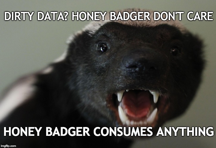 Honey Badger | DIRTY DATA? HONEY BADGER DON'T CARE; HONEY BADGER CONSUMES ANYTHING | image tagged in honey badger | made w/ Imgflip meme maker