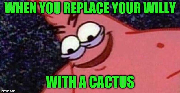 WHEN YOU REPLACE YOUR WILLY WITH A CACTUS | made w/ Imgflip meme maker