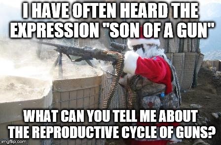 Son of a ... | I HAVE OFTEN HEARD THE EXPRESSION "SON OF A GUN"; WHAT CAN YOU TELL ME ABOUT THE REPRODUCTIVE CYCLE OF GUNS? | image tagged in guns | made w/ Imgflip meme maker