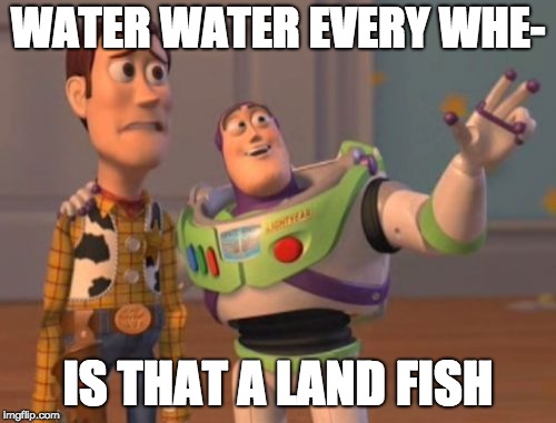 X, X Everywhere | WATER WATER EVERY WHE-; IS THAT A LAND FISH | image tagged in memes,x x everywhere | made w/ Imgflip meme maker