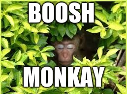 BOOSH; MONKAY | image tagged in boosh monkay | made w/ Imgflip meme maker