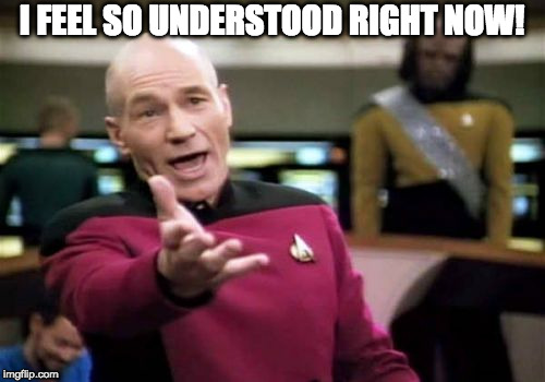 Picard Wtf Meme | I FEEL SO UNDERSTOOD RIGHT NOW! | image tagged in memes,picard wtf | made w/ Imgflip meme maker