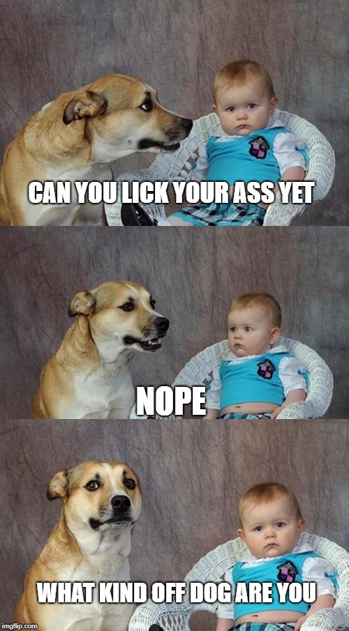 Dad Joke Dog | CAN YOU LICK YOUR ASS YET; NOPE; WHAT KIND OFF DOG ARE YOU | image tagged in memes,dad joke dog | made w/ Imgflip meme maker