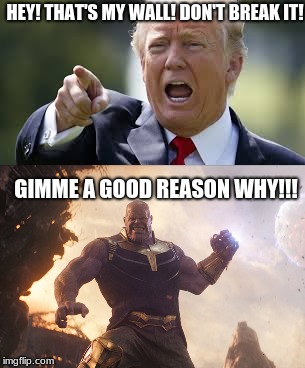 da wall | HEY! THAT'S MY WALL! DON'T BREAK IT! GIMME A GOOD REASON WHY!!! | image tagged in trump,avengers infinity war | made w/ Imgflip meme maker