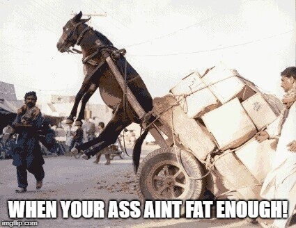 ass not fat enough | WHEN YOUR ASS AINT FAT ENOUGH! | image tagged in funny,donkey | made w/ Imgflip meme maker
