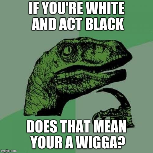 Philosoraptor | IF YOU'RE WHITE AND ACT BLACK; DOES THAT MEAN YOUR A WIGGA? | image tagged in memes,philosoraptor | made w/ Imgflip meme maker