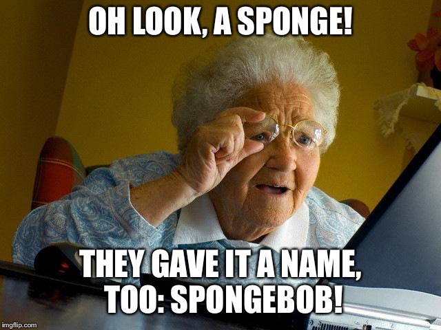 Grandma Finds The Internet Meme | OH LOOK, A SPONGE! THEY GAVE IT A NAME, TOO: SPONGEBOB! | image tagged in memes,grandma finds the internet | made w/ Imgflip meme maker