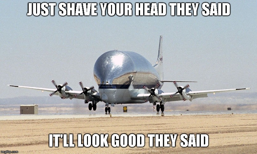 Super Guppy | JUST SHAVE YOUR HEAD THEY SAID; IT'LL LOOK GOOD THEY SAID | image tagged in super guppy | made w/ Imgflip meme maker