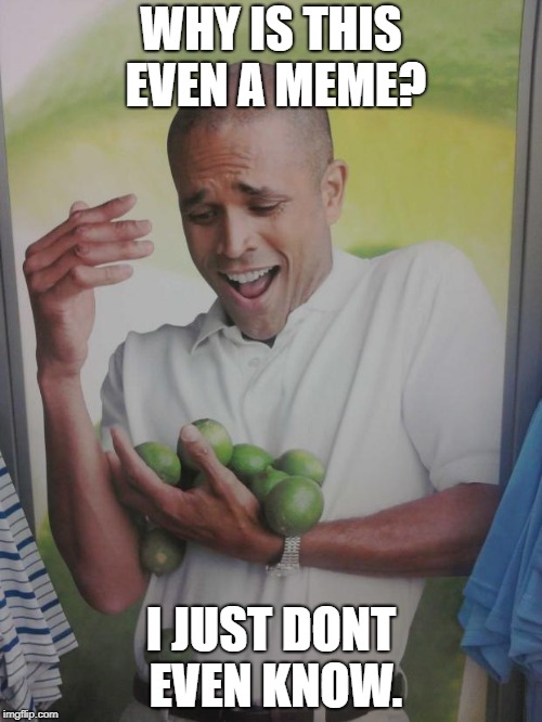 Why Can't I Hold All These Limes | WHY IS THIS EVEN A MEME? I JUST DONT EVEN KNOW. | image tagged in memes,why can't i hold all these limes | made w/ Imgflip meme maker