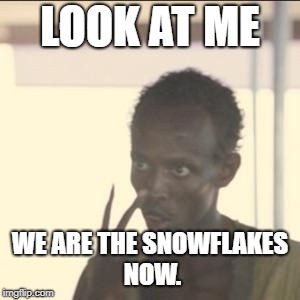 Look At Me Meme | LOOK AT ME; WE ARE THE SNOWFLAKES NOW. | image tagged in memes,look at me | made w/ Imgflip meme maker