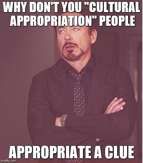 Face You Make Robert Downey Jr Meme | WHY DON'T YOU "CULTURAL APPROPRIATION" PEOPLE APPROPRIATE A CLUE | image tagged in memes,face you make robert downey jr | made w/ Imgflip meme maker