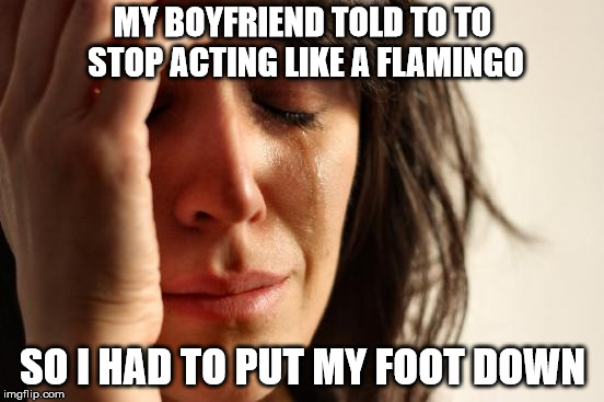 First World Problems Meme | MY BOYFRIEND TOLD TO TO STOP ACTING LIKE A FLAMINGO; SO I HAD TO PUT MY FOOT DOWN | image tagged in memes,first world problems | made w/ Imgflip meme maker