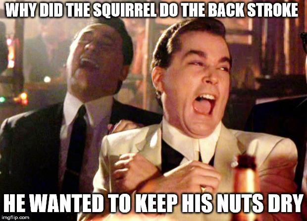 Goodfellas Laugh | WHY DID THE SQUIRREL DO THE BACK STROKE; HE WANTED TO KEEP HIS NUTS DRY | image tagged in goodfellas laugh | made w/ Imgflip meme maker