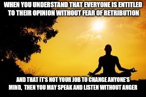 WHEN YOU UNDERSTAND THAT EVERYONE IS ENTITLED TO THEIR OPINION WITHOUT FEAR OF RETRIBUTION AND THAT IT'S NOT YOUR JOB TO CHANGE ANYONE'S MIN | made w/ Imgflip meme maker
