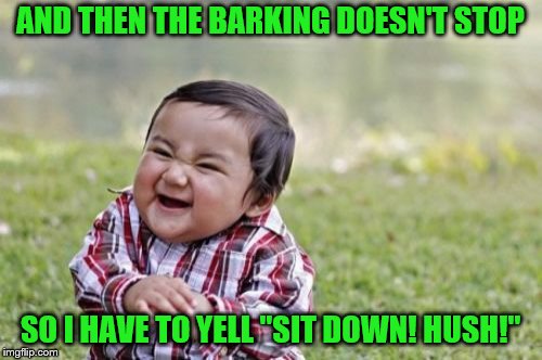 Evil Toddler Meme | AND THEN THE BARKING DOESN'T STOP SO I HAVE TO YELL "SIT DOWN! HUSH!" | image tagged in memes,evil toddler | made w/ Imgflip meme maker