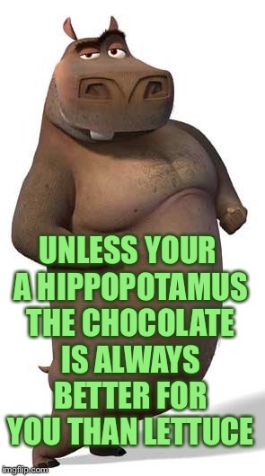 UNLESS YOUR A HIPPOPOTAMUS THE CHOCOLATE IS ALWAYS BETTER FOR YOU THAN LETTUCE | made w/ Imgflip meme maker