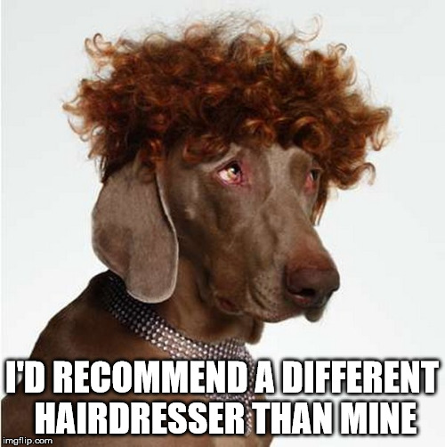 I'D RECOMMEND A DIFFERENT HAIRDRESSER THAN MINE | made w/ Imgflip meme maker