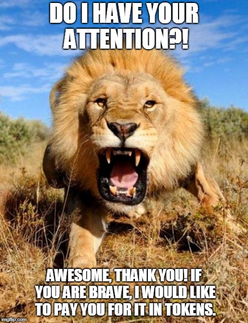 lion | DO I HAVE YOUR ATTENTION?! AWESOME, THANK YOU! IF YOU ARE BRAVE, I WOULD LIKE TO PAY YOU FOR IT IN TOKENS. | image tagged in lion | made w/ Imgflip meme maker