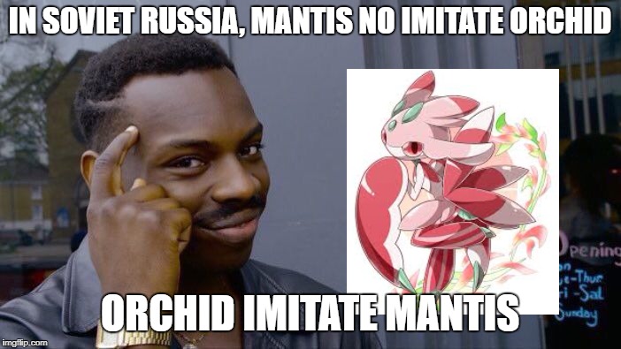 Roll Safe Think About It Meme | IN SOVIET RUSSIA, MANTIS NO IMITATE ORCHID ORCHID IMITATE MANTIS | image tagged in memes,roll safe think about it | made w/ Imgflip meme maker