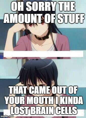 Anime Meme | OH SORRY THE AMOUNT OF STUFF; THAT CAME OUT OF YOUR MOUTH I KINDA LOST BRAIN CELLS | image tagged in anime meme | made w/ Imgflip meme maker