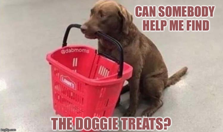 He needed a bigger basket! | CAN SOMEBODY HELP ME FIND; THE DOGGIE TREATS? | image tagged in dog week,dog,grocery store,memes,funny | made w/ Imgflip meme maker