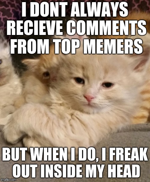 I DONT ALWAYS RECIEVE COMMENTS FROM TOP MEMERS BUT WHEN I DO, I FREAK OUT INSIDE MY HEAD | made w/ Imgflip meme maker