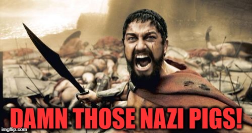 Sparta Leonidas Meme | DAMN THOSE NAZI PIGS! | image tagged in memes,sparta leonidas | made w/ Imgflip meme maker