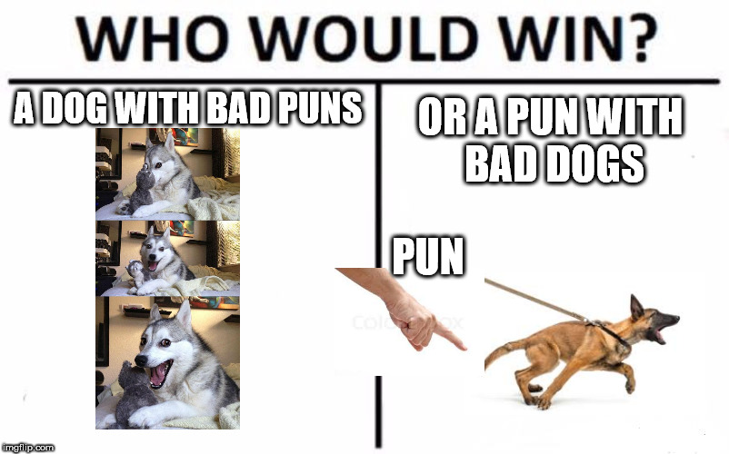 Who Would Win? Meme | A DOG WITH BAD PUNS; OR A PUN WITH BAD DOGS; PUN | image tagged in memes,who would win | made w/ Imgflip meme maker