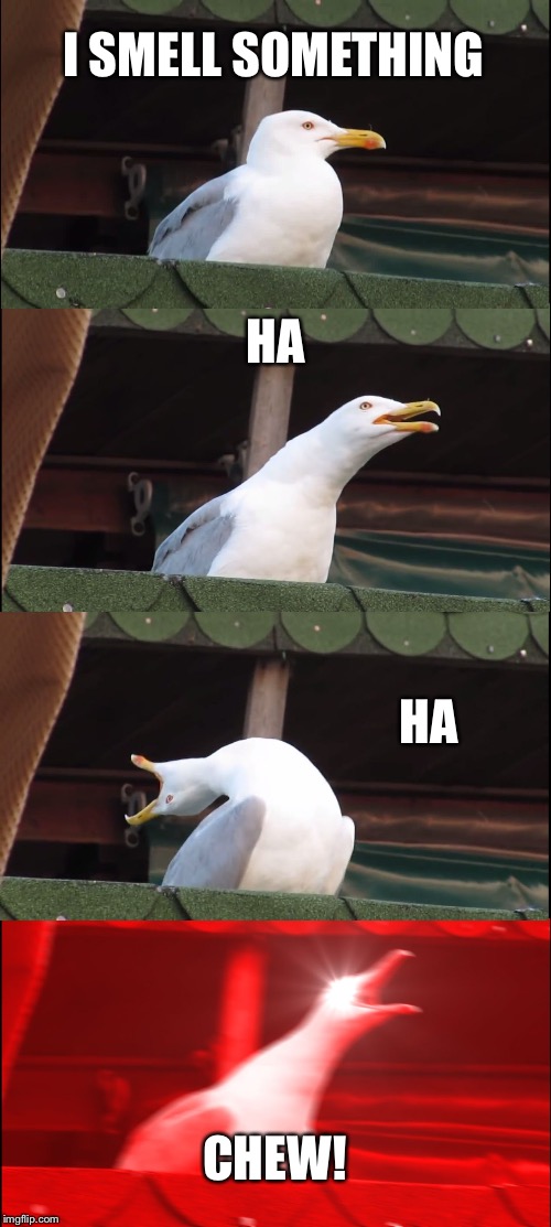 Inhaling Seagull Meme | I SMELL SOMETHING; HA; HA; CHEW! | image tagged in memes,inhaling seagull | made w/ Imgflip meme maker