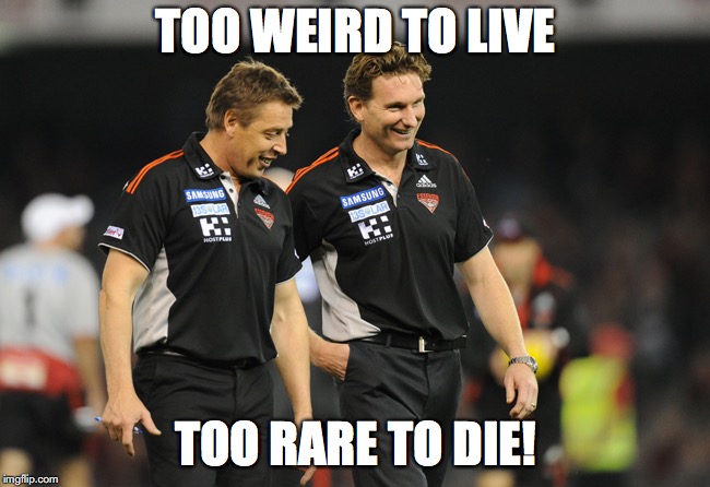 Bomber S Thompson | TOO WEIRD TO LIVE; TOO RARE TO DIE! | image tagged in bomber s thompson | made w/ Imgflip meme maker