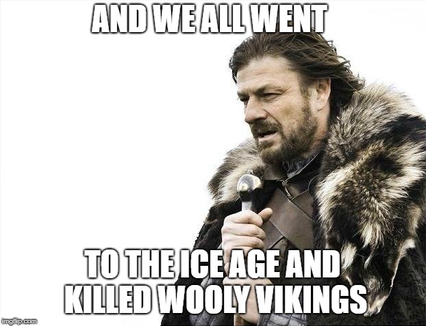 Brace Yourselves X is Coming Meme | AND WE ALL WENT; TO THE ICE AGE AND KILLED WOOLY VIKINGS | image tagged in memes,brace yourselves x is coming | made w/ Imgflip meme maker