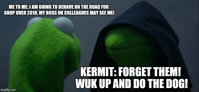Evil Kermit | ME TO ME: I AM GOING TO BEHAVE ON THE ROAD FOR CROP OVER 2018. MY BOSS OR COLLEAGUES MAY SEE ME! KERMIT: FORGET THEM! WUK UP AND DO THE DOG! | image tagged in memes,evil kermit | made w/ Imgflip meme maker