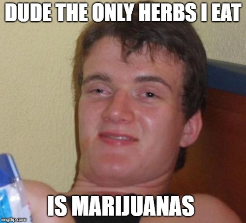 10 Guy | DUDE THE ONLY HERBS I EAT; IS MARIJUANAS | image tagged in memes,10 guy | made w/ Imgflip meme maker