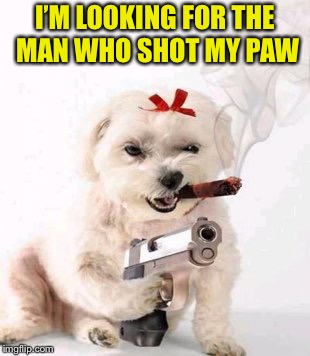 Dog week May 1st to May 8th a Landon_the_memer and NikkoBellic event | I’M LOOKING FOR THE MAN WHO SHOT MY PAW | image tagged in memes,dog week,shooting,gun | made w/ Imgflip meme maker